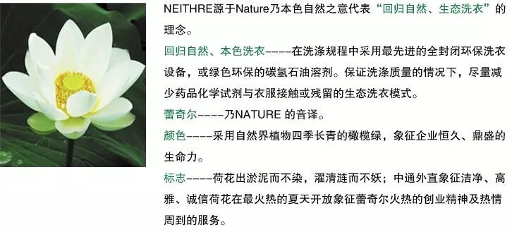 相关文章